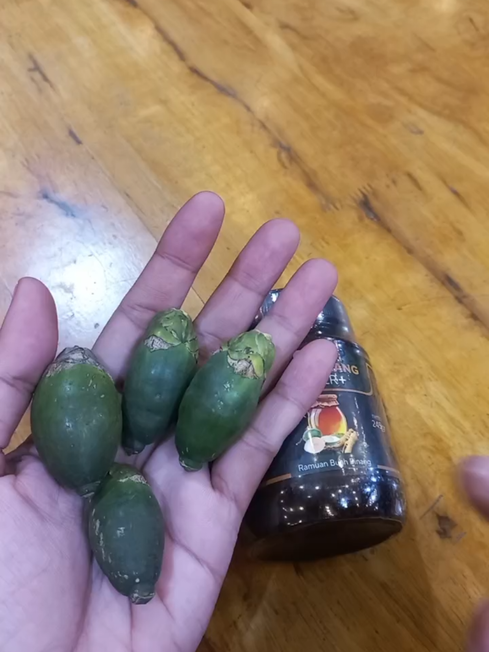 Pinangmuda maduginseng #pinangmuda #pinangmudaginsengmadu 