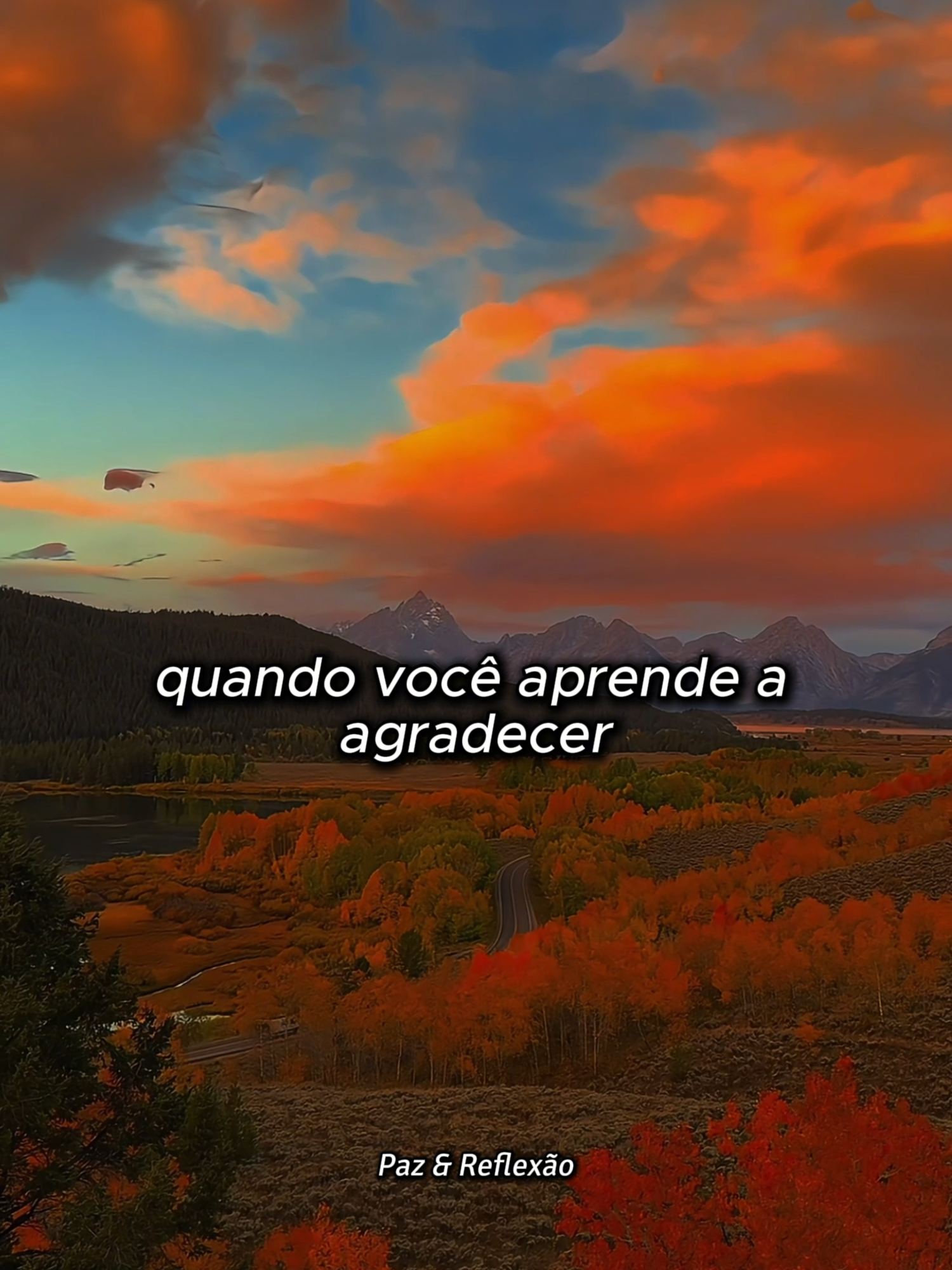 Todo dia é um presente de Deus ✨🙏 #reflexaododia #frases #status #Deus #bomdia #amor #paz #motivacional