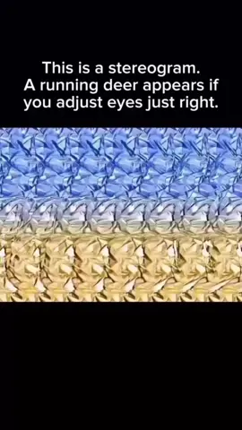 Lil droptop can play basketball!!  #fyp #stereogram #strangerthings #dance #mancity 