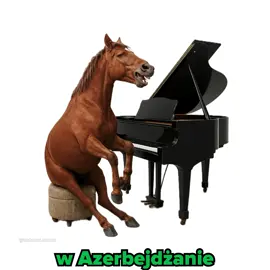 w azerbejdżanie koń gra na fortepianie #koń #babka #miłegodnia #pozdrawiam 