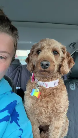 #fyp #dogsoftiktok #lesbiansoftiktok #Love 