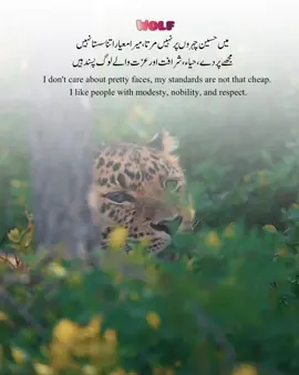 I don't care about pretty faces, my standards are not that cheap. I like people with modesty, nobility, and respect.#plese_tiktok_for_you #firyoupage #viralvideos #plese_tiktok #unfreezemyacount 