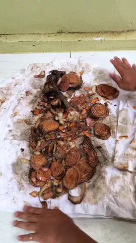 Membalas @Bang VIN  Menghilangkan noda getah emang bisa? #penghilangjamurpakaian #loxsuscleaner #penghilangnodapakaian 