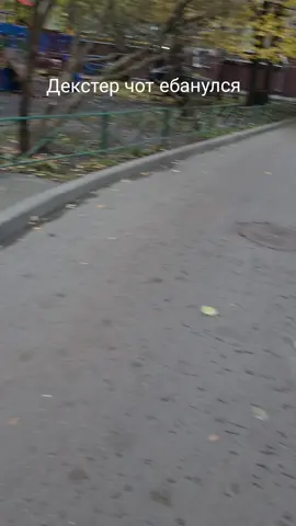 чото поленился выкидывать их в океан#мясникизбейхарбор #thebayharborbutcher #dextermorgan #dexter 