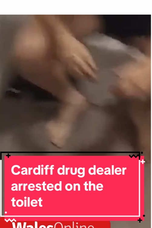 ⬆️FULL STORY | Cardiff drug dealer arrested on the toilet | #cardiff #caerdydd #uknews #Wales #cymru 
