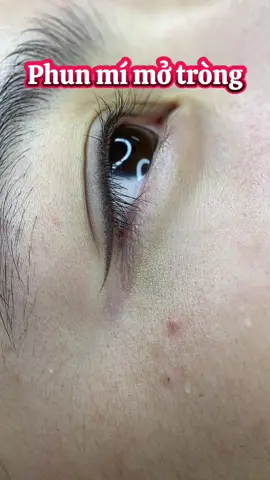 Phun mí mở tròng tự nhiên #Thammyphuongthao #Phunxamphuongthao #phunmay #phunmoi #phunmi 