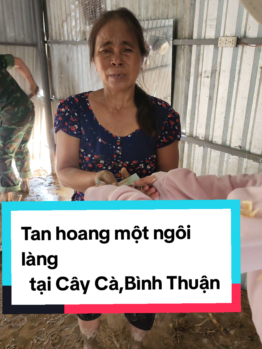 Tan hoang tại Cây Cà, Tuy Phong, Bình Thuận. Bà con mất trắng tài sản, hoa màu, vật nuôi...mất một bé gái rất thương tâm do lũ quét.. #tuyphong #binhthuan #hanhtrinhtute #baolu 