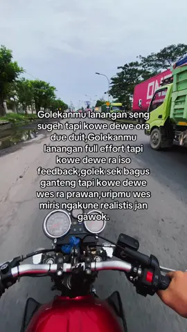 🧠 dienggo #beranda #4u #fypage #jowopride #story 