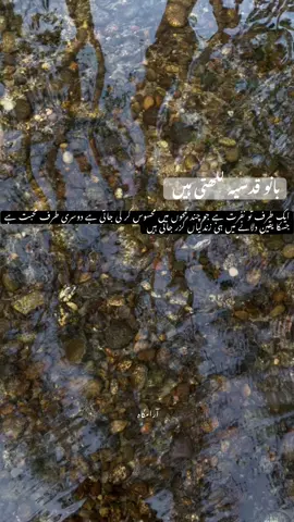 🫀بانو قدسیہ  #banoqudsia #tiktok #viral #urdu #fyp 