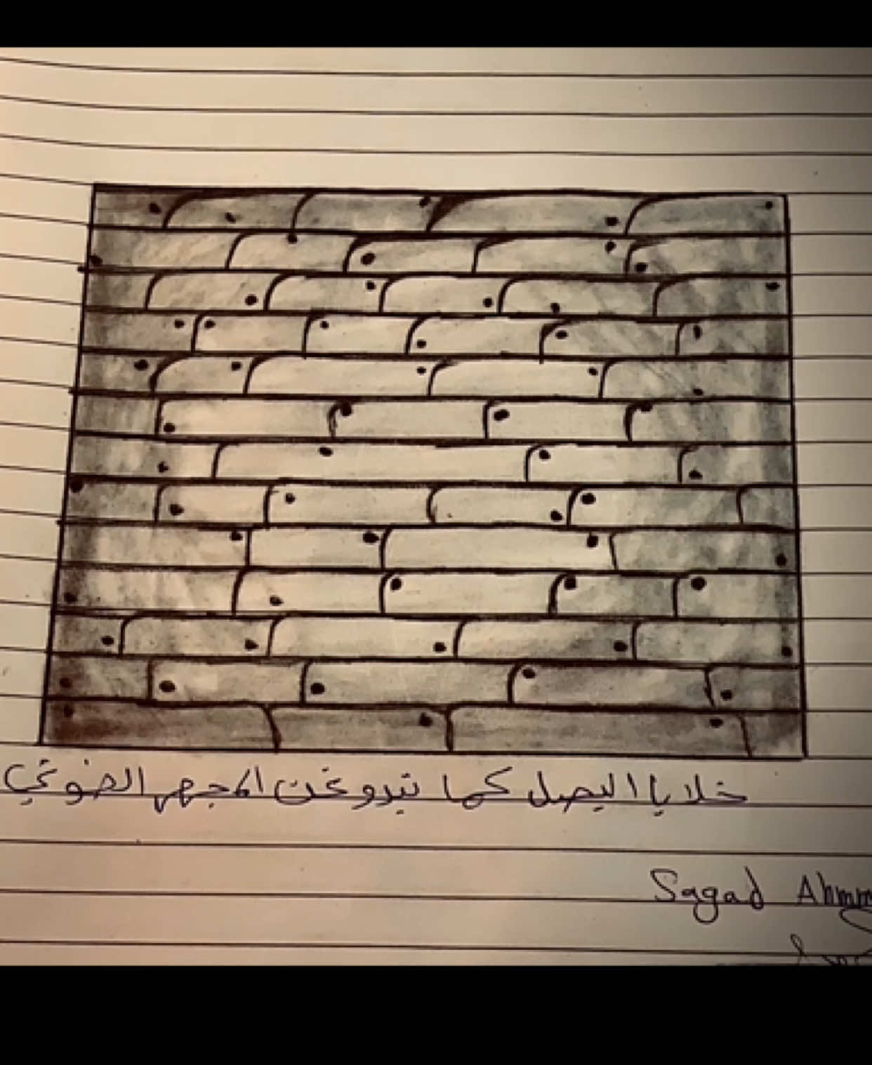 #مشاهير_تيك_توك #مهم #العراق #اكسبلور #ترندد 