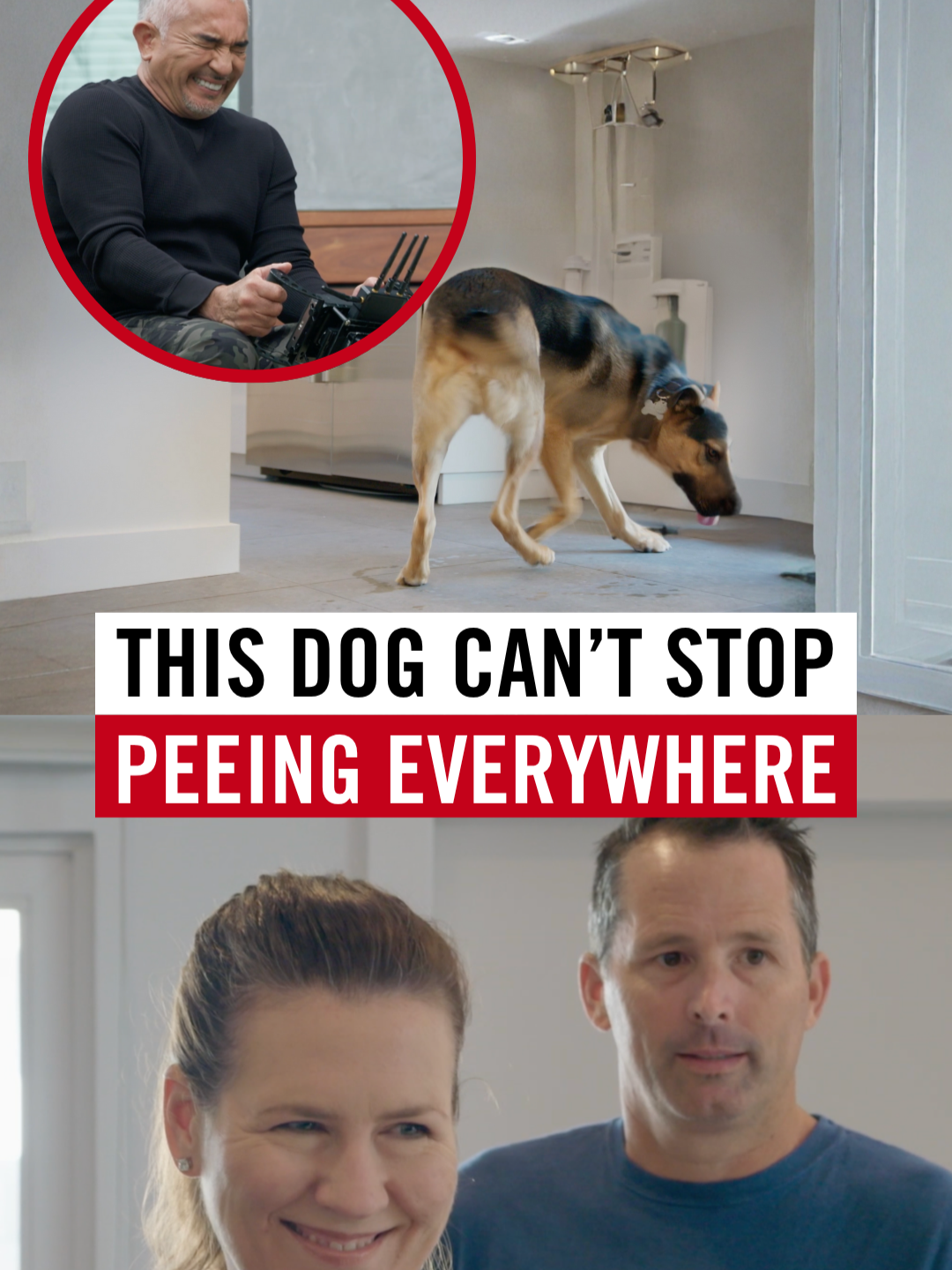 This dog has spent 10 years locked away with no structure or leadership. 🐶💔 Now, she pulls on the leash, reacts to other dogs, and doesn’t trust anyone. Her aggression comes from fear, not dominance. In this video, I show how calm energy and leash control can create balance and rebuild trust. Watch the full story on YouTube! #BetterHumanBetterDog Esta perra pasó 10 años encerrada, sin estructura ni liderazgo. 🐶💔 Ahora tira de la correa, reacciona ante otros perros y no confía en nadie. Su agresión viene del miedo, no del dominio. En este video de Better Human Better Dog enseño cómo la energía en calma y el control de la correa pueden crear equilibrio y reconstruir la confianza. Ve la historia completa en YouTube.