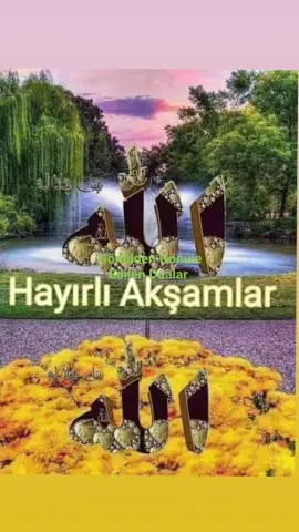 🌹⛓️🌹🌿🌸¨¨˜”°º★🌿🌸﷽ 🌸🌹🤲ﷲAMÎÎÎÎÎN YA RABBEL🌹 ALEMÎNﷲ🤲🌿#🕋🕌🤲🕌🌹❤️🕋🤲🏻🇲🇦🤲🏻 #beniöneçıkart #keşfet 
