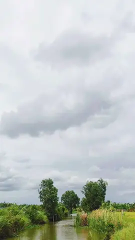 chi xa rời miền quê... #songnuocmientay #canhdepmientay #xuhuongtiktok #canhchill 