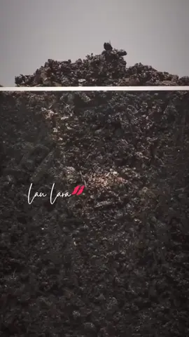 Todo es cuestión de tiempo... 🙌  #plantas #florecer #raices #farmasi #laularafarmasi 