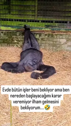 #keşfet #komikvideolar #trendingvideo 