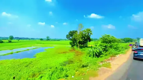 নভেম্বর মাস যেন দুঃখ আর সুখের এক অদ্ভুত মিশ্রণ… 🍂 পাতাগুলো যেমন ঝরে যায়, তেমনই মনে জমে যায় স্মৃতি—কখনও বিষণ্ণতা, কখনও কোমল আনন্দ। এই মাসে আবেগেরা যেন আরও গভীর, চোখে জল, হৃদয়ে নরম অনুভূতি। 🌙💔🌸 “#November vibes… 🎬💔😊 full of emotions #foryoupage❤️🦋🌈💫tiktok❣️🍂🦋🍂🦋🍂 🍂🌙💫 #NovemberFeels #EmotionalVibes #AutumnMood ”