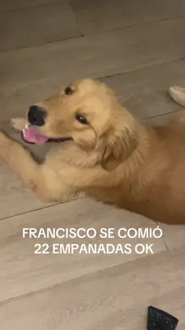 Regalo golden #uruguay 