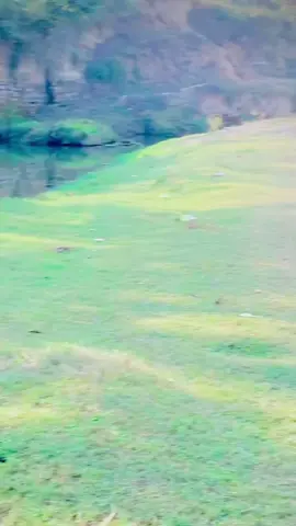 Za pa ta abad ym🫀😏 #like #comment #share #favourite #repost @Hassan_live🥀😮‍💨 @HK🥀💫 