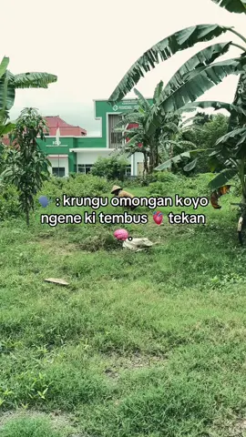 matur suwun pak🙏#fyppppppppppppppppppppppp #peternakmuda #motivation #klaten24jam #masukberanda 