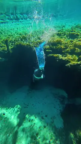 Who needs lights!? 😅 🛟: @Danielle cecil  #freediving #safety #underwater #onthisday 