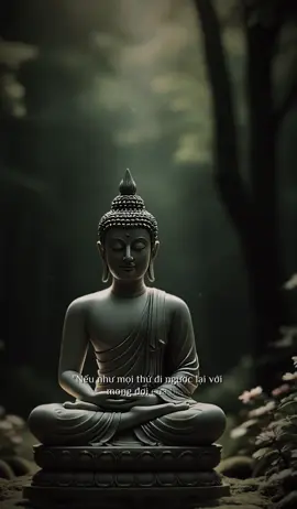 Một kiếp hồng trần là hoa là sương hay là gió  Nửa kiếp phiêu bạt là đau là hận hay là thương 🙂