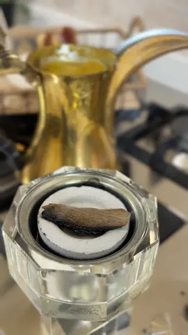 #اكسبلورexplore #creatorsearchinsights #هاشتاقات_تيك_توك_العرب #الشعب_الصيني_ماله_حل😂😂 