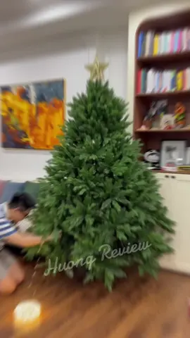 Đèn led hạt gạo trang trí giáng sinh chiều dài từ 30-200m. Dây đồng xanh lá kèm remote #denledtrangtri #noeldecor #denlednoel #denledcaythong #denledthongminh 