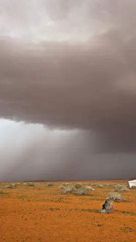 #تصويري #اكسبلور #مطر #الشتاء #طلعات_البر 