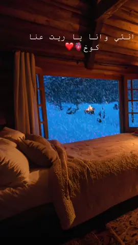 #جورج_وسوف_🔚ابو_وديع_سلطان_الطرب👑 #برطعه_عرعرة_عارة_كفرقرع_المثلث #نينو_A #الشعب_الصيني_ماله_حل😂😂 #foryoupage 