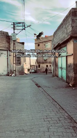 Racon sözler alalım 🦅🔱#storilikvideolar📌 #albunukeşfetetiktok #kesfetttttttttttt #şanlıurfaprovince #cumasdf 