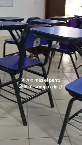 Ese compañero# pero se entiende # para ti#EPIA 