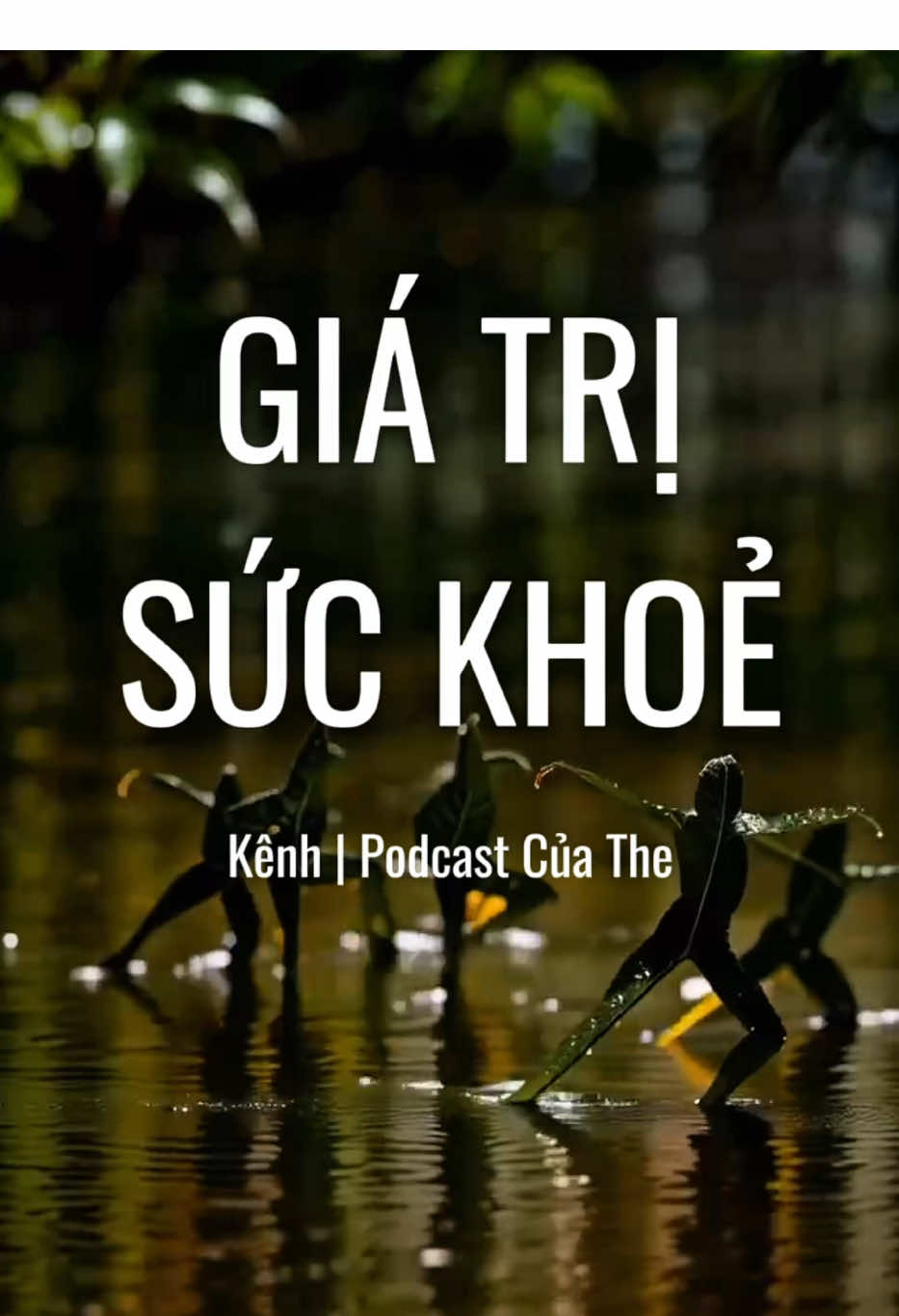 Có một điều nghịch lý trong đời sống này — ta dành nửa đời để đánh đổi sức khỏe lấy tiền, rồi lại dành nửa đời còn lại để tiêu tiền mua lại sức khỏe.