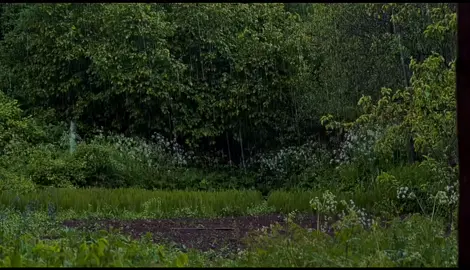 #اللهم_صل_على_محمد_وآل_محمد #صلي_علي_النبي_محمد_صلي_الله_عليه_وسلم #صلوا_على_رسول_الله🤲🕋_على_رسول_الله🌿🌿🌿 #صلوا_على_رسول_الله #فلسطين🇵🇸 