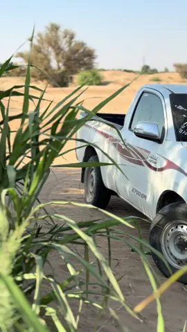 اللهم ثبتنا على دينك وطاعتك 