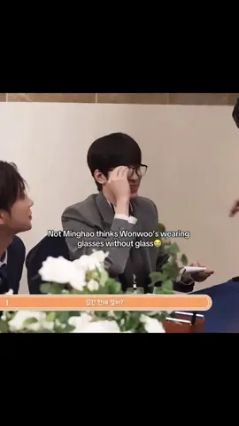 Stop Bully my cat Minghao 🤧#wonwoo #minghao #seventeen #fyp 