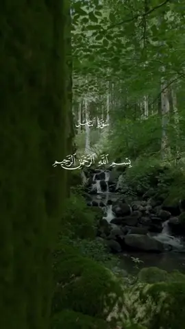 #quran #قران_كريم #قران  