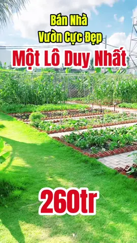 bán nhanh #datngopgiare #reviewbatdongsan #bđs2025 #BĐS #bdsbinhduong #bđs 