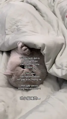 #_duong_2405🧸 #tamtrang #tinhyeu #xuhuong #xhhhhhhhhhhhhhhhhhhhhhhh 