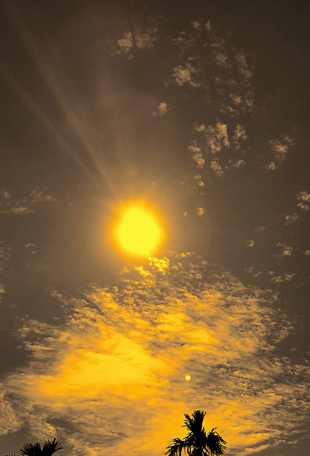 ليس مظهره الجسدي بل دينه، وليس رتبته بل أخلاقه. 