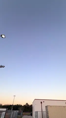 #noviembre #LIVEIncentiveProgram #LIVECanBeEasy #PaidPartnership 