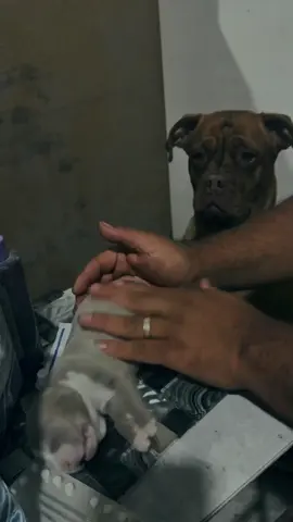 Nakakabasag ng damdamin 🥺 #petlover #fyp 