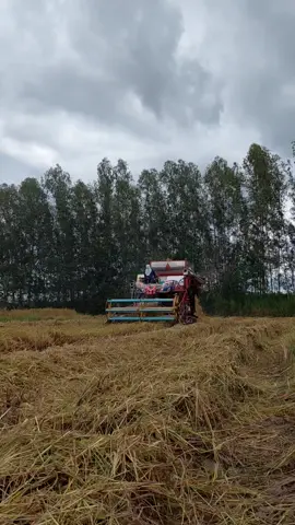 เริ่มต้นฤดูกาล🌾🌾