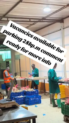 Vacancies available for parking 28kp.m comment ready for more info #packing #job #nairobitiktokers #hiring #500k 