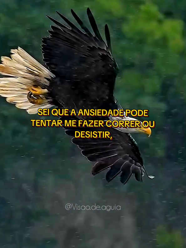 #reflexaododia #sabedoriadevida #frasesmotivadoras #tiktokmotivacional 