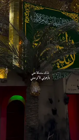 نآدآك مـشـتآقآ علي يآزهرتي لآ ترحـلي.               #اللهم_صل_على_محمد_وآل_محمد #اللهم_عجل_لوليك_الفرج #محرم #كربلاء #ياحسين 