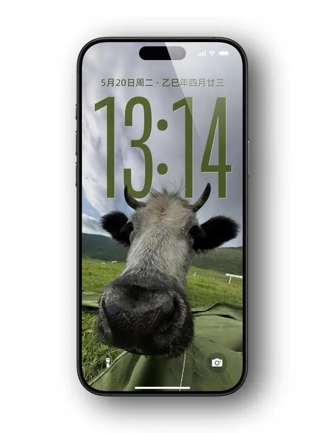 #wallpaper #hìnhnềnđẹp #winter#ưwot #hd 