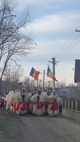 În Curând ✨❤️  #ursiidinrotunda #fyp #obiceiuri #rotunda #viral 