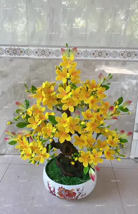 2 chậu Mai chưng Tết shop làm #hoatet2025 #chauhoalen #hoalenhandmade #moclen #hoalenhandmade 