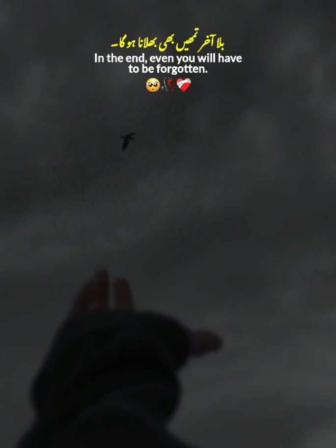 Mention Them 🙂💔 || Relationship Sad Lines 🥺 || Broken Lines 💔 || Love Status Video ✨ #fyp #Love #sad #broken #statusvideo 