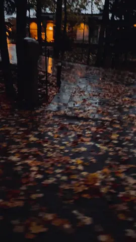 #autumn #autumnvibes #october #fallincanada #foryou 